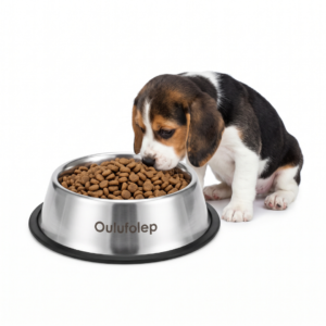 Oulufolep Small Silver Stainless Steel Pet Bowl